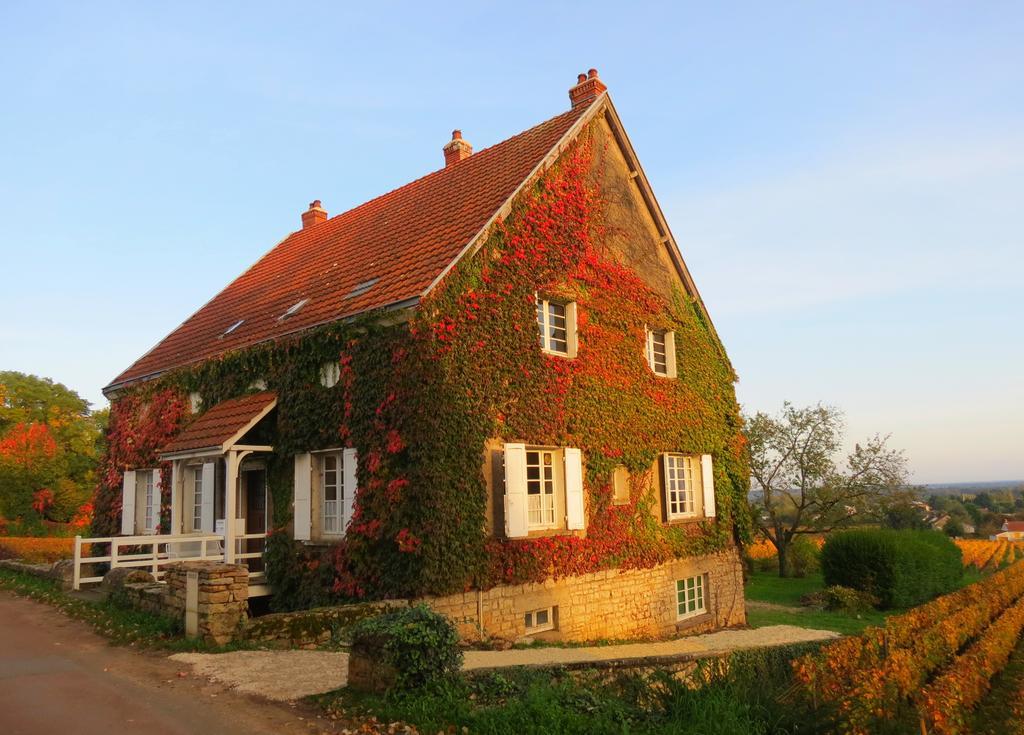 La Passerelle Des Corton B&B Aloxe-Corton Экстерьер фото